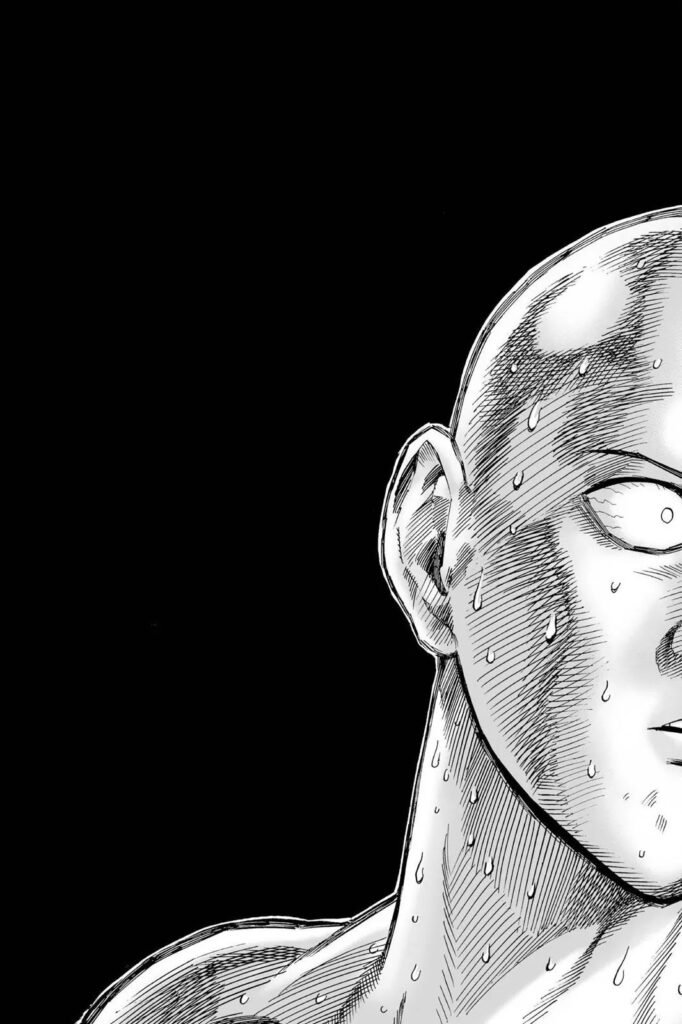 Manga OPM (11)