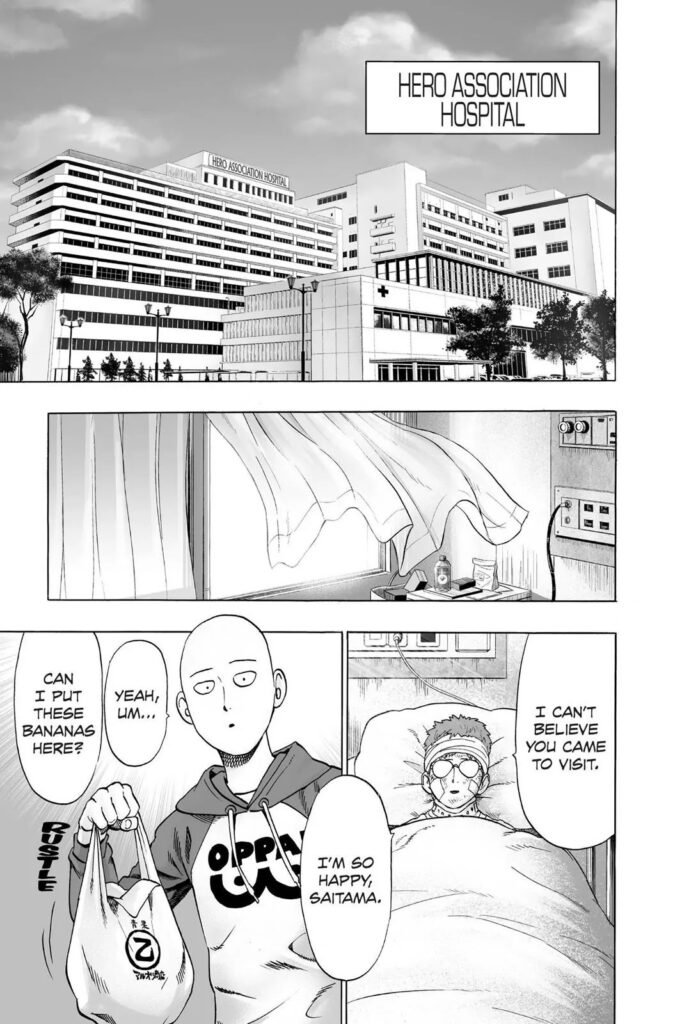 Manga punch man (12)