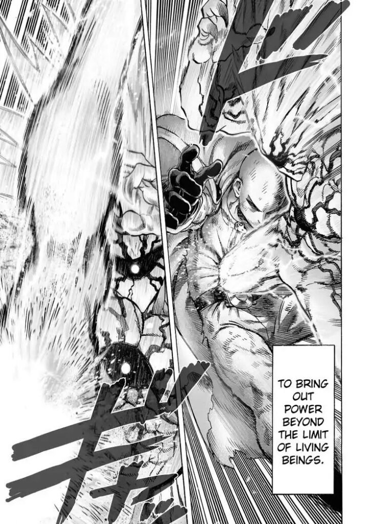 Manga punch man (13)