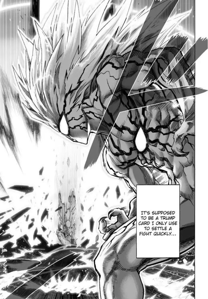 Manga punch man (20)