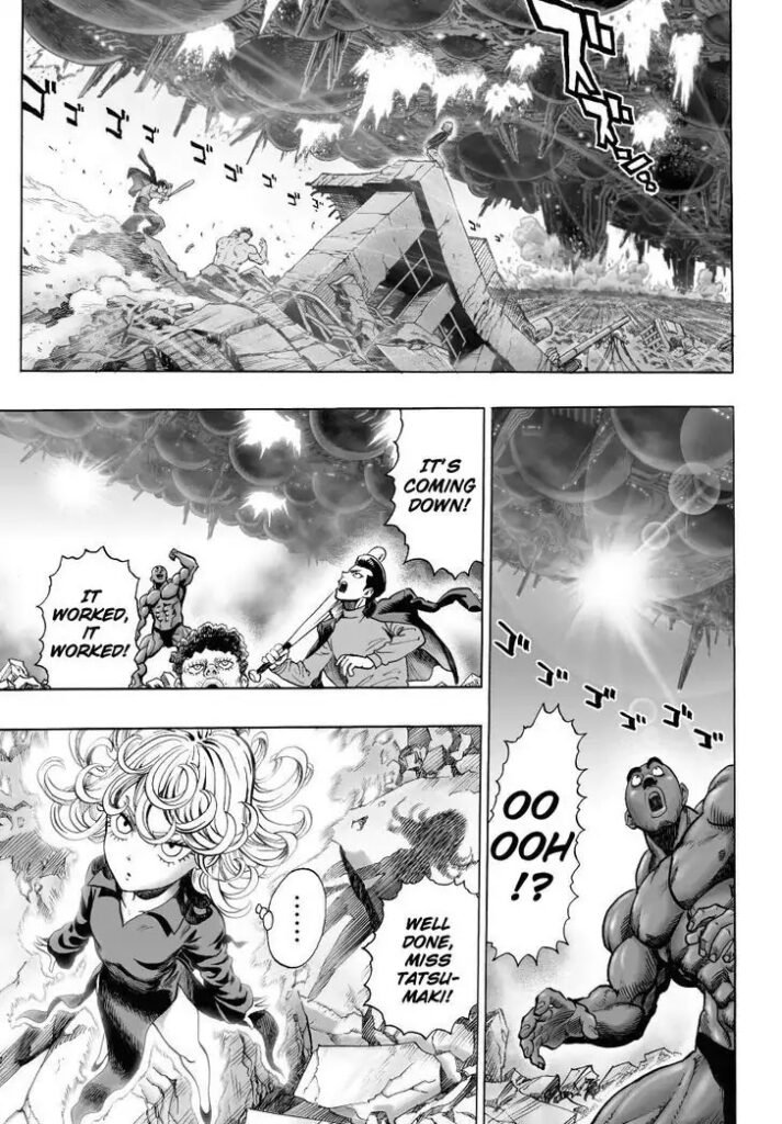 Manga punch man (22)