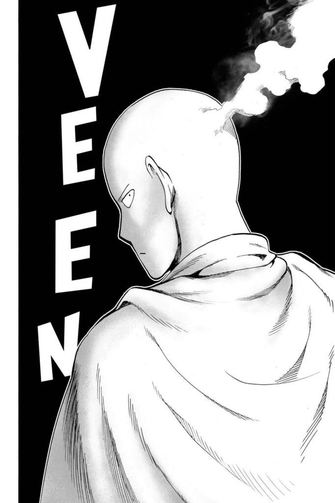 Manga punch man (29)