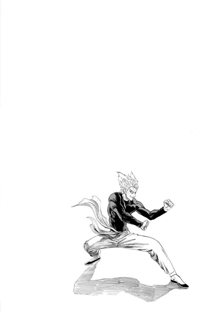 Manga punch man (33)