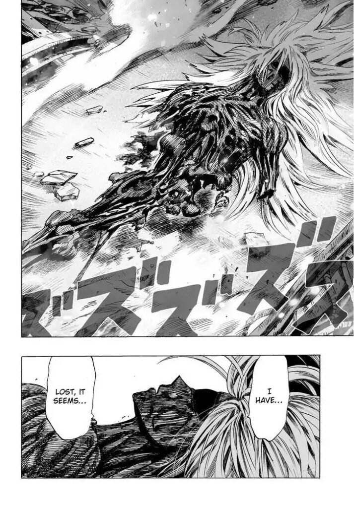 Manga punch man (48)