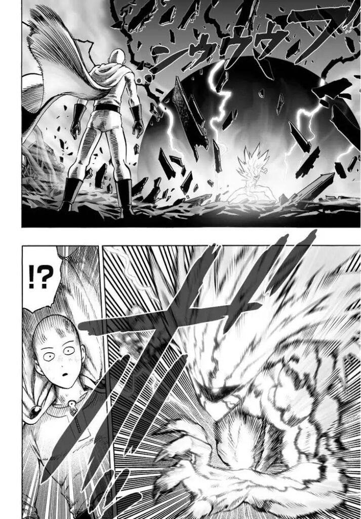 Manga punch man (8)