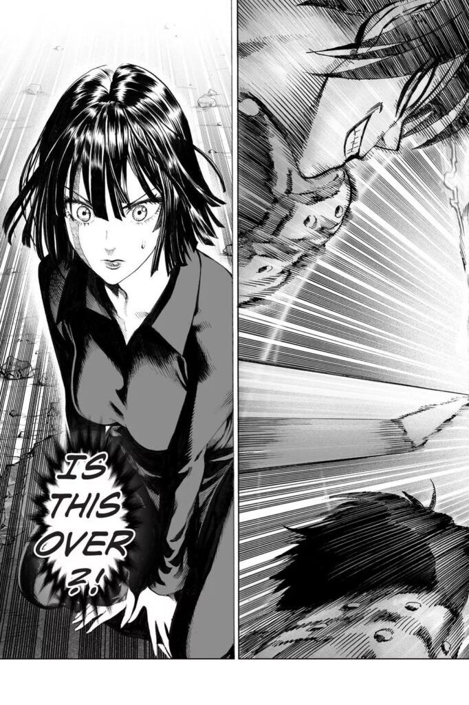 Manga punch man online (22)