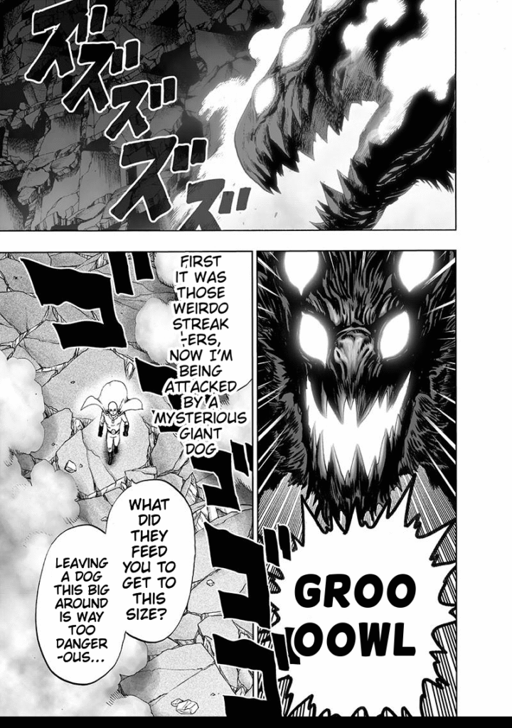 One Punch Man (17)