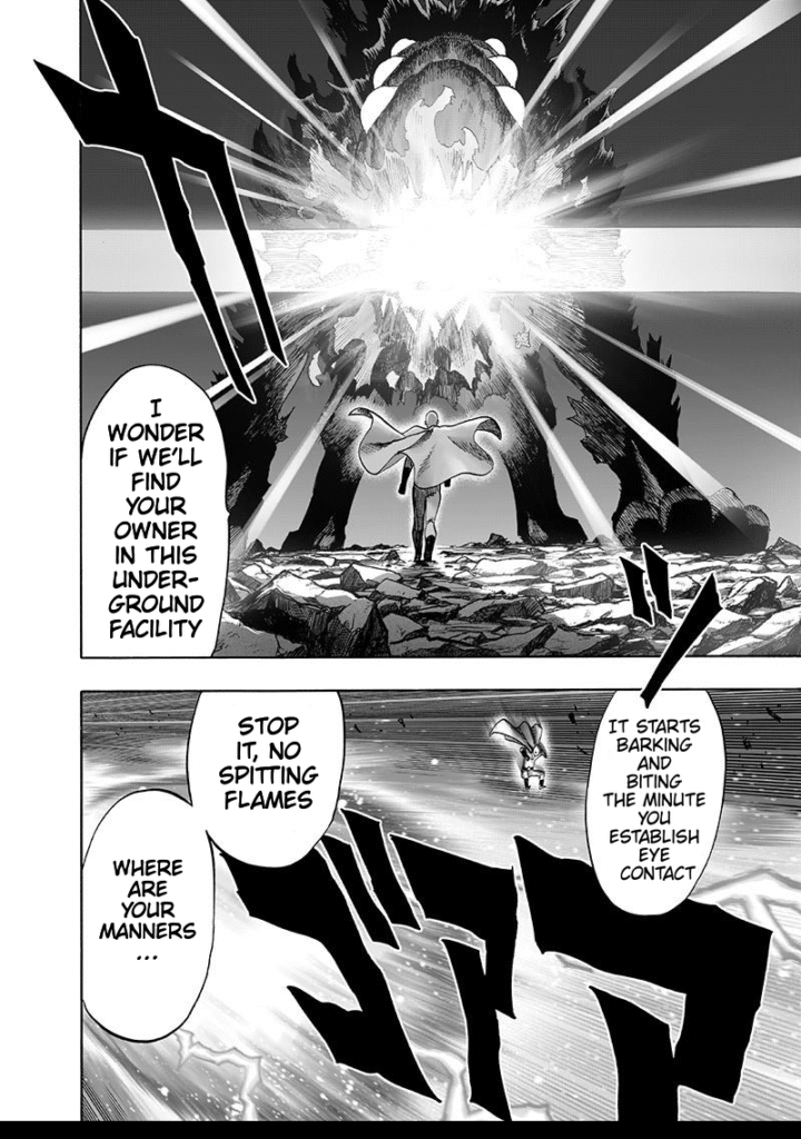 One Punch Man (18)