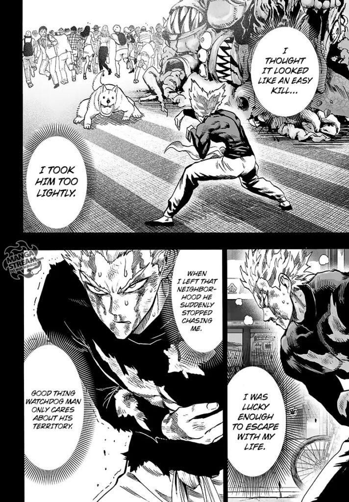 One Punch Man (19)