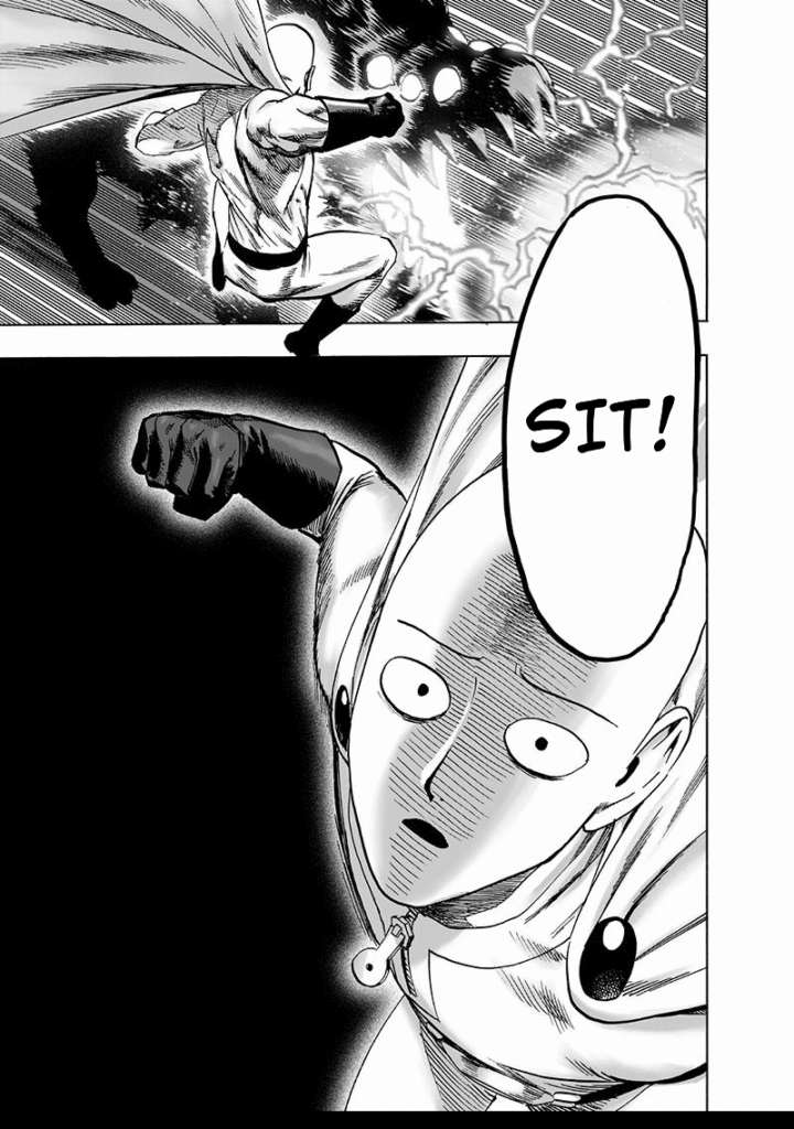 One Punch Man (19)