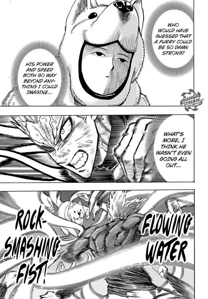 One Punch Man (20)
