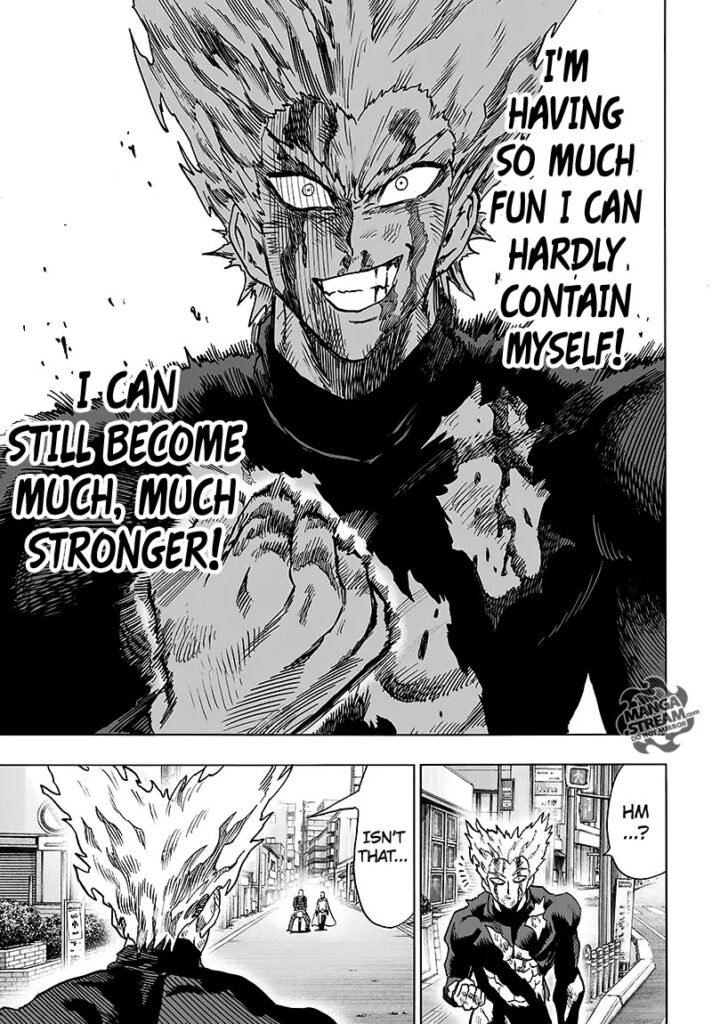 One Punch Man (24)