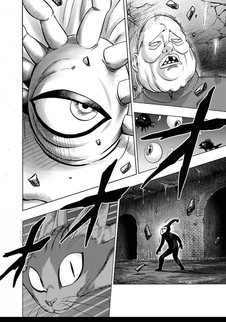 One Punch Man (24)