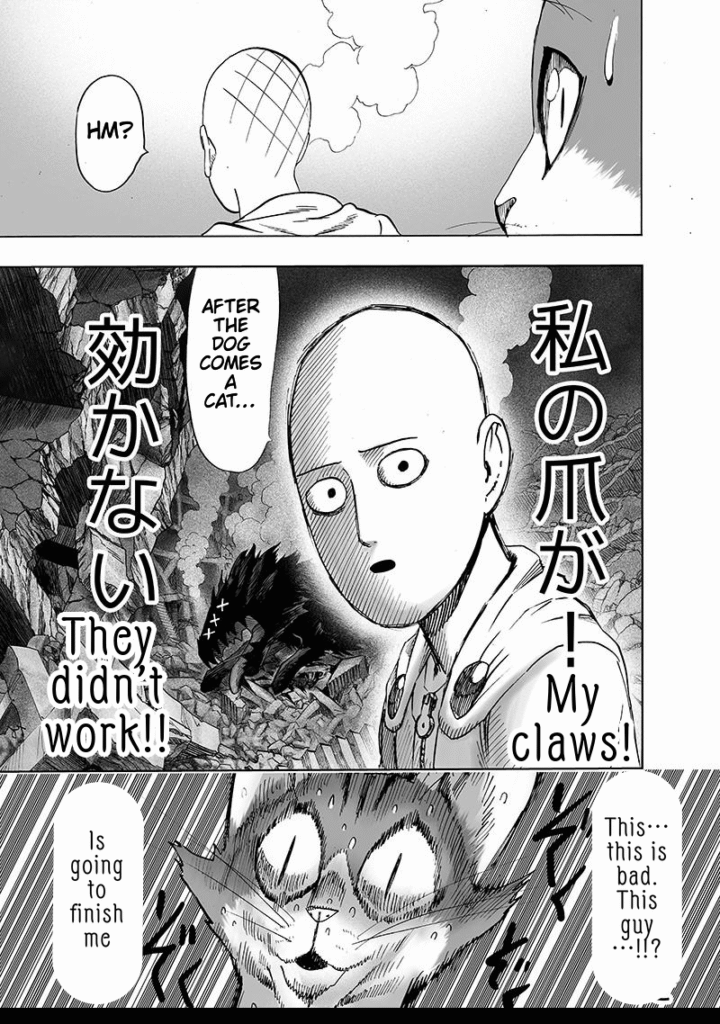 One Punch Man (29)