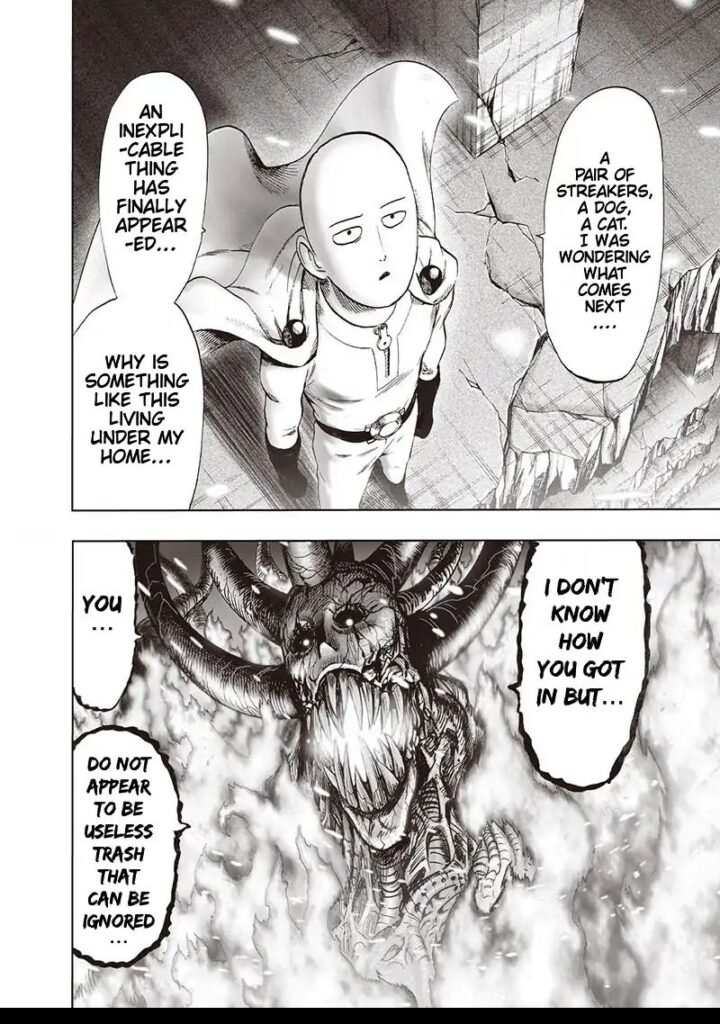 One Punch Manga (20)