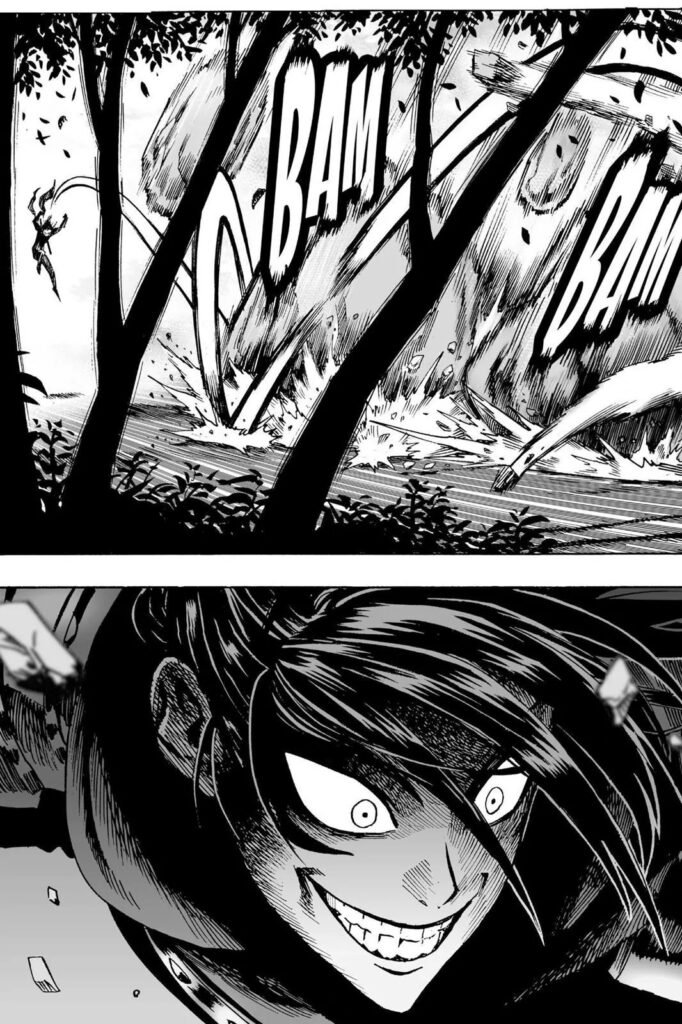 One punch man manga (15)