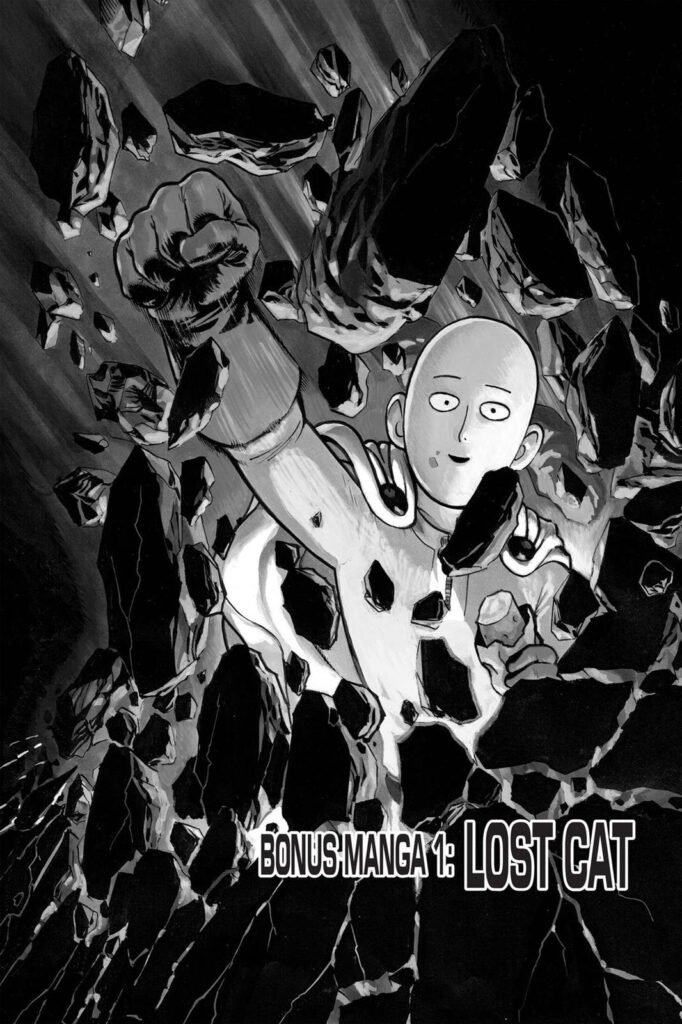 One punch man online 40.5