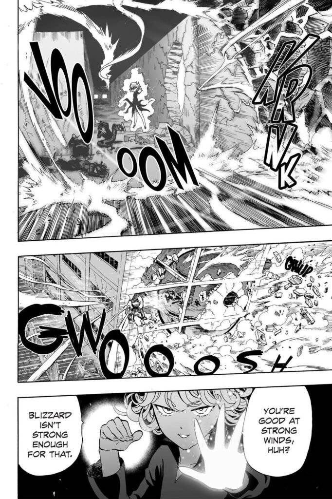 Online punch man (19)