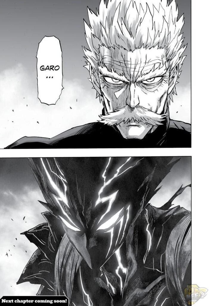read-opm33-701x1024